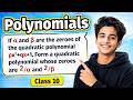 If α and β are the zeroes of the quadratic polynomial px²+qx+1. Form a quadratic polynomial whose..