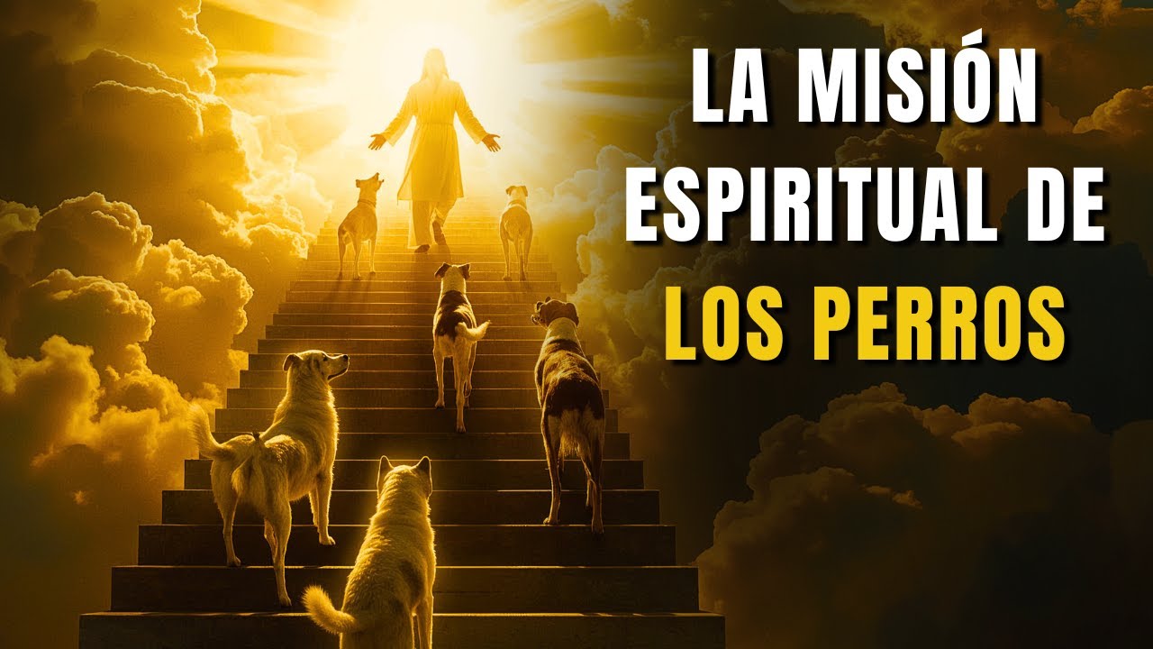 ¿Adónde Van Los Perros Cuando Mueren? La Sorprendente Respuesta del Espiritismo - CHICO XAVIER