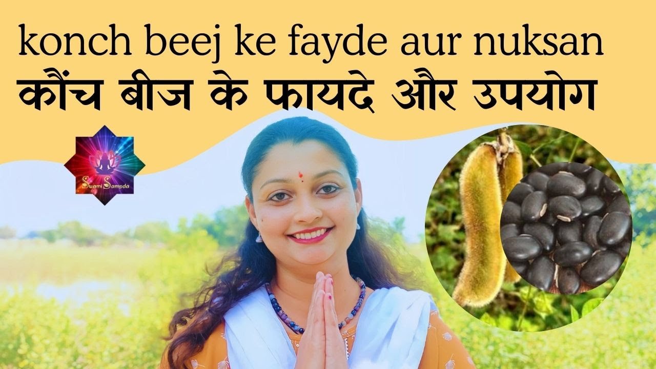 कौंच बीज के फायदे और उपयोग | खुजली पौधे का औषधि गुण | केवाँच |  Benefits of Kewancha beej |