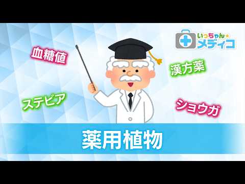 薬用植物【いっちゃん☆メディコ】