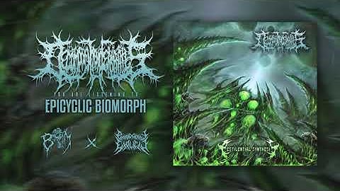 DECOMPOSITION OF ENTRAILS  - Epicylic Biomorph | PATHOLOGICAL EXPLICIT Recs | BRUTAL MIND PROMOTION