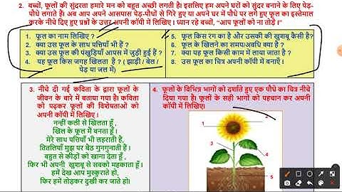 Worksheet No. 27 B ॥ Class 4 ॥ 22 July 2021 ॥ DOE WORKSHEETS ॥ EVS