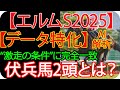 【エルムステークス2025】AI分析で炙り出す!“激走条件”に合致した5頭を公開 | 競馬予想