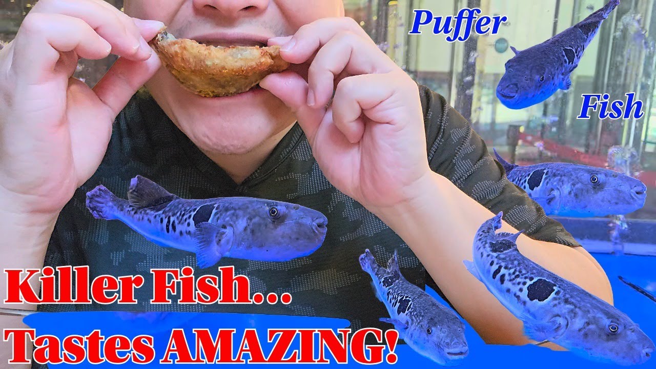 Eating Poisonous Puffer Fish in Korea 🇰🇷 (Deadly but Delicious?)