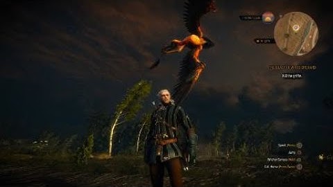 The Witcher 3: Griffin Flying in circles bug