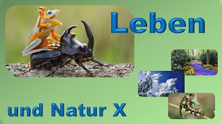 Aus Der Natur X