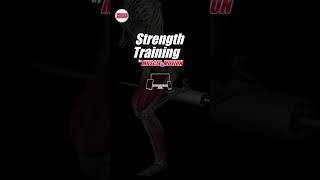 Bulgarian Split Squat: The New King of Leg Day 👑