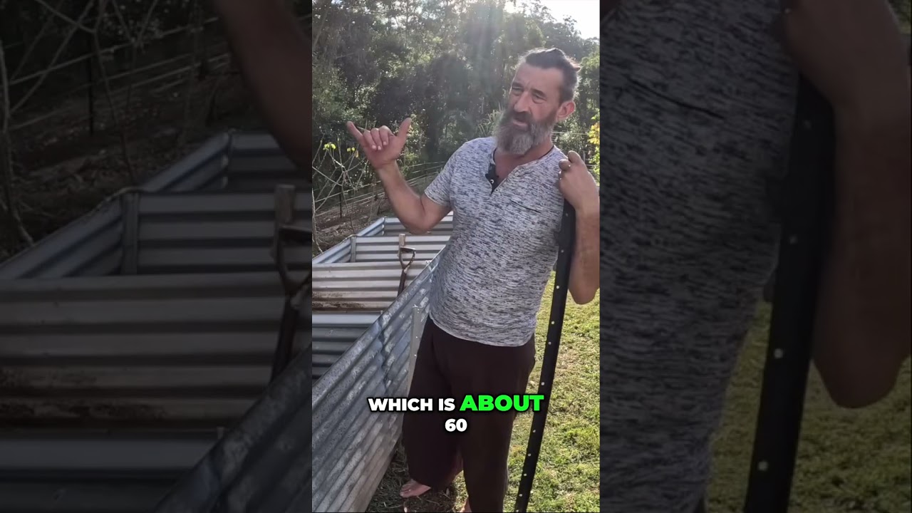 The SECRET to hot composting! 🔥