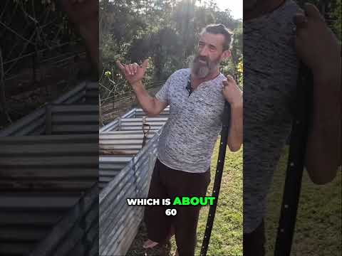 The SECRET to hot composting! 🔥