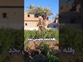 محدش حاسس بحد زودنا الدنيا غليت  اكسبلور اهميه   اعتني لايك 