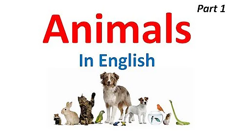 Werden Tiere im Englischen mit IT bezeichnet?
