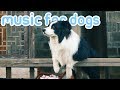 OVER 15 HOURS of Deep Separation Anxiety Music! Helped 10 Million Dogs!