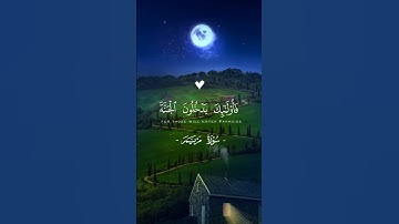 ۞ فَخَلَفَ مِن بَعْدِهِمْ خَلْفٌ أَضَاعُوا الصَّلَاةَ - تلاوة هادئة - القارئ: شريف مصطفى.