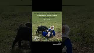 Özlü Ve Güzel Sözler. Mustafa Karabacak Sazi Ve Sesi̇yle.