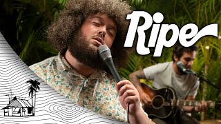 Ripe - Noise in the Forest (Live Music) | Sugarshack Sessions