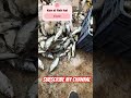 #bollywood #dhadkan2 #song #hindisong #bollywoodsongs #love #fish #fishing #food #indiansong
