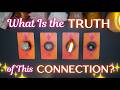 Delulu Check 🪄💫 What Is The TRUTH of This Connection? ✧ Detailed Pick a Card Tarot Reading