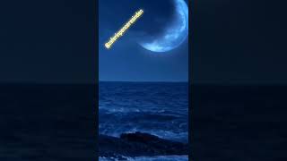 Zalim Felek Seni̇n Meramin Nedi̇r.... Resimi