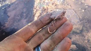 Copper hammer mill results with 2mm screen
