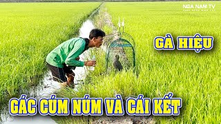 Hành Trình Gác Cúm Núm Đem Hàng Hiệu Đi Gác Và Cái Kết/NGÃ NĂM TV