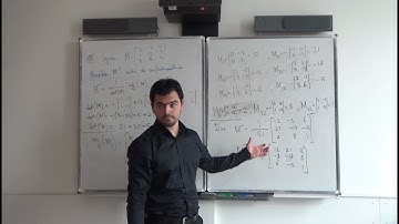 Vectoren en Matrices - Les 7 - Herhaling & Voorbeelden, Mehmet Can