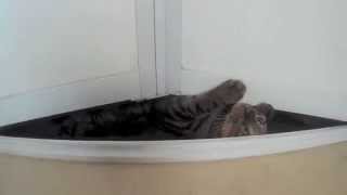 Khal Drogo Escape From Jamban