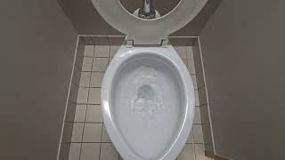 1981 Crane Santon toilet