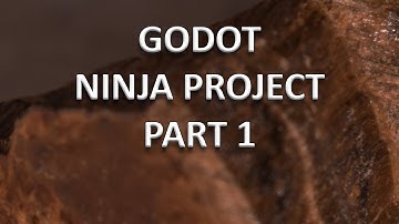 Ninja Project Part 1: Importing the Main Character