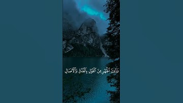 #تلاوة_خاشعة #اكسبلور #yasseraldossary #duet #المصحف #foryou #دويتو #قران_كريم #راحة_نفسية #لايك