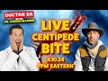 LIVE: World&#39;s Largest Centipede Bite