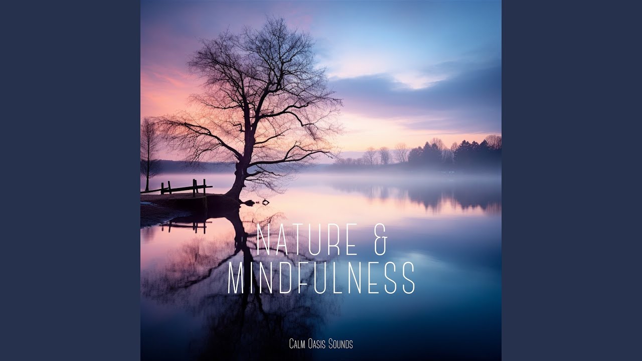 Reflection adlı videoyu YouTube'da izle Reflection adlı videoyu YouTube'da izle