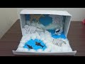 How to make polar bear habitat  diy polar bear diaorma  easy arctic region diaorma school project