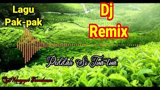 Download Lagu LAGU PAK-PAK||DJ REMIX PAKPAK..PEDDAH SITUATUA. MP3