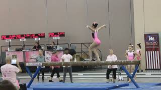 2019 Pink Invitational: Beam