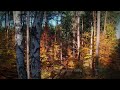 31. Mów światu o Moim miłosierdziu