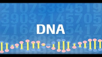 HyperDesign Online Tool for custom target enrichment panel design