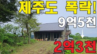 지금 사야됩니다. 9억5천에서 2억3천만원, 제주 단독주택경매 #shorts #제주경매 #제주부동산
