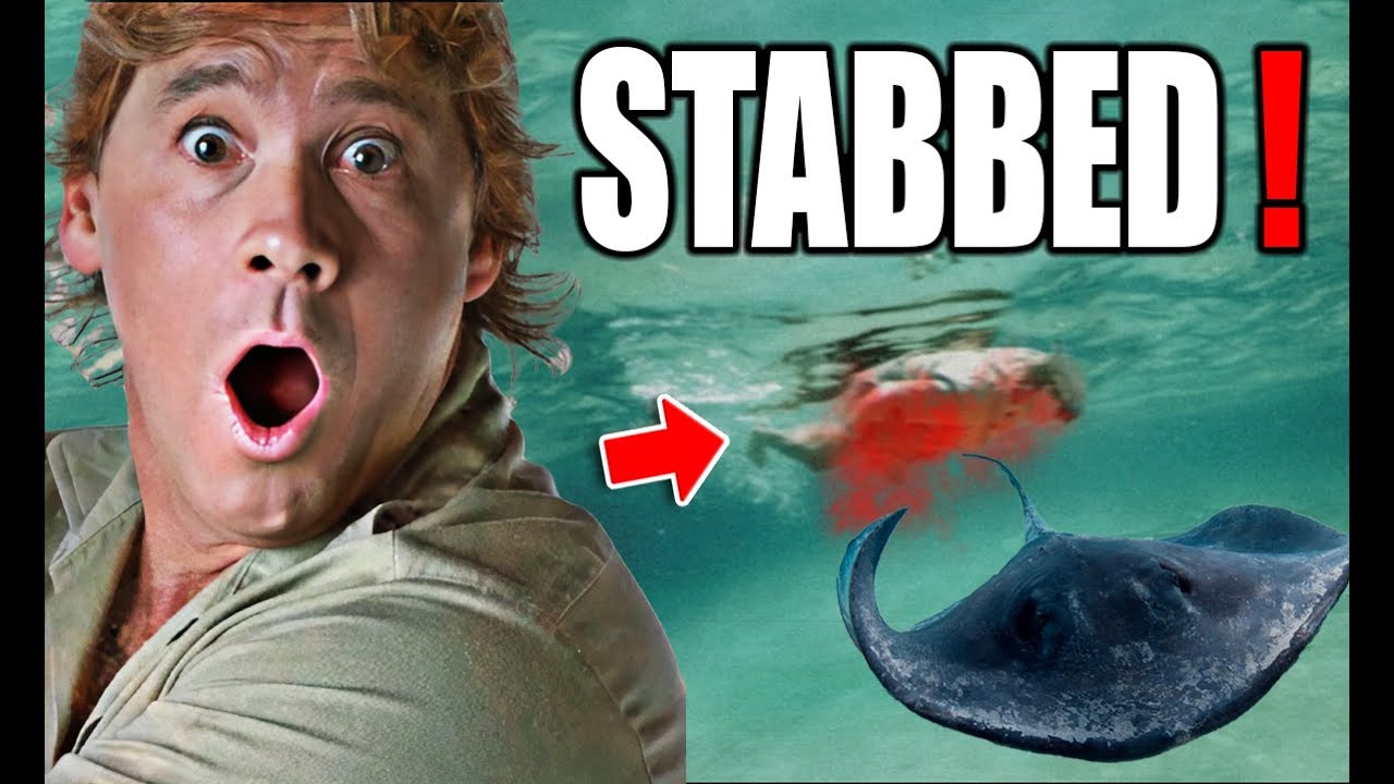 The DEVASTATING Attack on Steve Irwin The Crocodile Hunter
