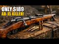 Top 5 Budget Surplus Rifles Are Better Than Your AR-15