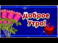 💖Доброе Утро! Хорошего дня!💖Нет на свете ничего дороже теплоты!💖 Родных людей, внимательных друзей!💌