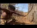 Hadza kill spitting cobra with 10 arrows!!!