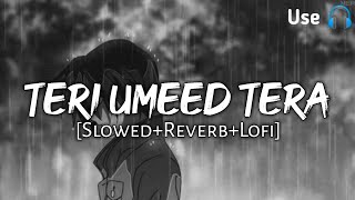 Teri Umeed Tera Intezar - Unplugged Slowed And Reverb | Indian Lofi | Rishi Kapoor | Diwana | Lofi