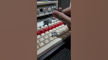 HMX Cloud | Monsgeek M1 V5 - Sound Test #hmx #keyboard #shorts