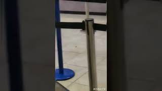 Herido de bala en asalto de banco en Trujillo Alto