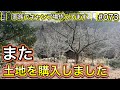 【家族でキャンプ場作ってます】 # 073 追加で約200坪の土地を購入しました！