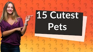 What Are the 15 Cutest Pets I Can Legally Own?