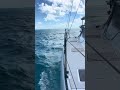 Vision 444 on the jib in the Sea of Abaco.   #vision444 #sailing #momentofserenity #bahamas