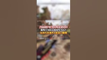 【APEX】見ただけで脳汁が止まらない？！海外で300万回再生された気持ち良良すぎる最高の瞬間ッ！#apex #apexlegends #fyp #おすすめ #tiktok #ゲーム #shorts