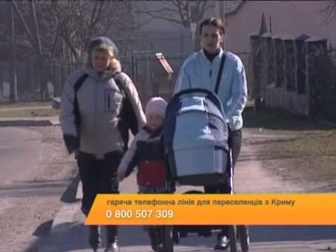 Правительство открыл для беженцев из Крыма "горячую линию"