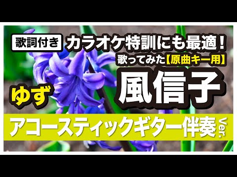 【歌ってみた音源】風信子（ヒヤシンス）/ ゆず ギターによる伴奏　Covered by 同心円